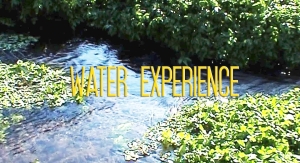 Water Experience